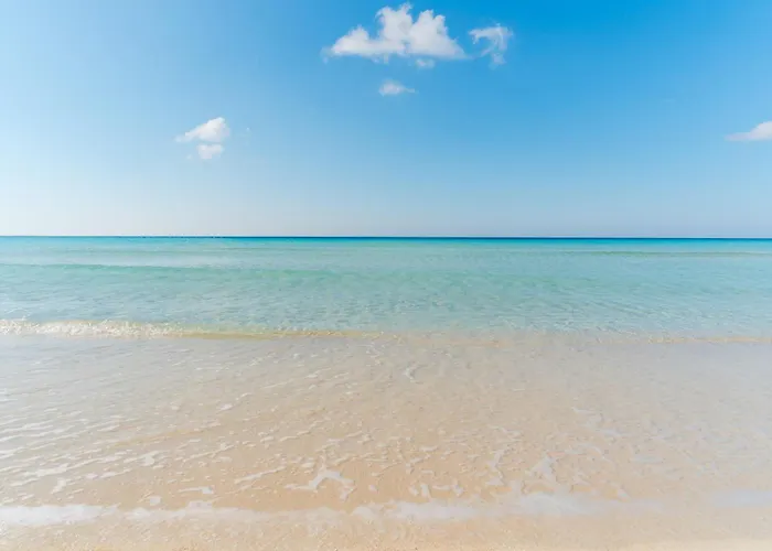 La Primula By Vivimy * Torre Pali